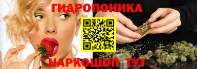 индика Чебаркуль