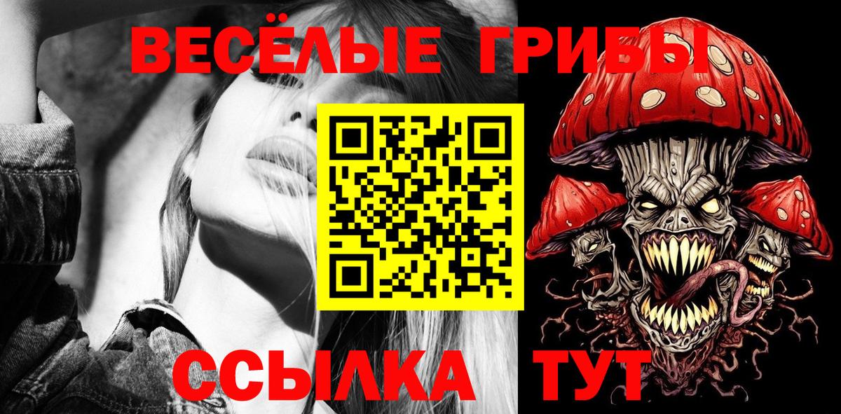 Псилоцибиновые грибы GOLDEN TEACHER  Вход с VPN  Минеральные Воды 