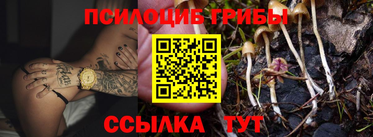 Псилоцибиновые грибы мухоморы Минеральные Воды